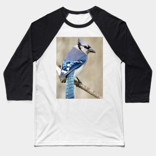 Portrait of a Blue Jay Baseball T-Shirt